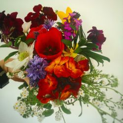 High angle view of red roses in vase