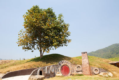 Tree on field against clear sky