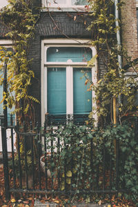 Plants growing outside building