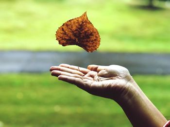 Leaf falling on woman hand over field