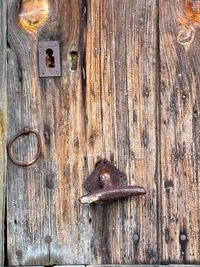 Full frame shot of rusty metal door