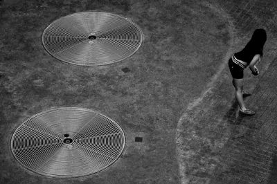 Shadow of tree on wall