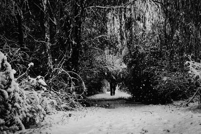 People walking on snow covered field