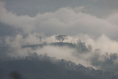 Panoramic view of trees and mountains against sky