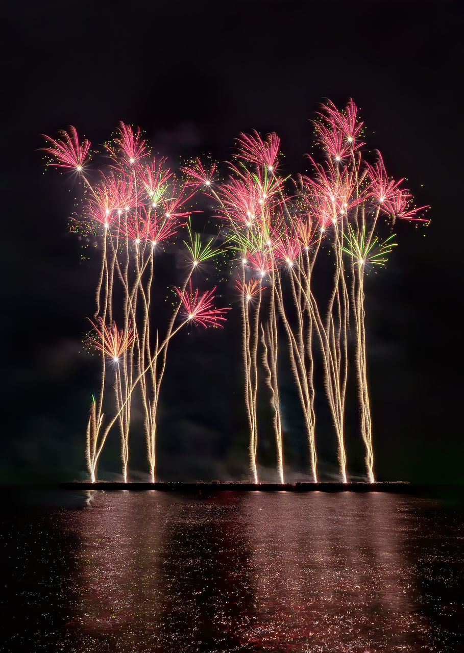 FIREWORKS IN SKY AT NIGHT
