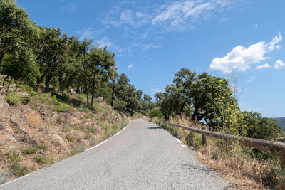 Empty road amidst trees against sky