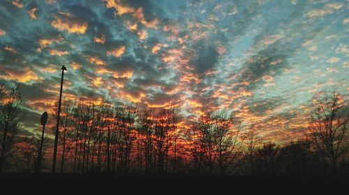 Low angle view of silhouette trees against dramatic sky