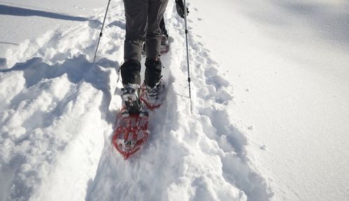 Low section of person riding horse on snow field