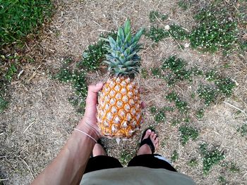 Low section of person standing by plant