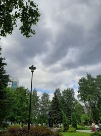 Low angle view of trees in park against sky