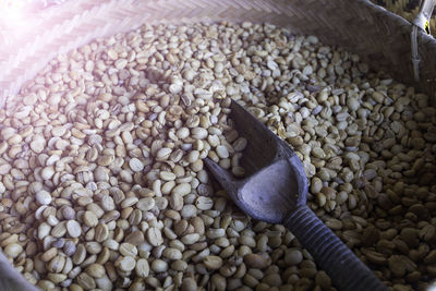 Close-up of raw coffee beans with serving scoop in container