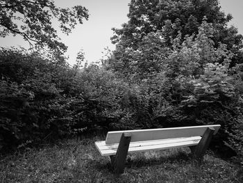 Empty bench in park