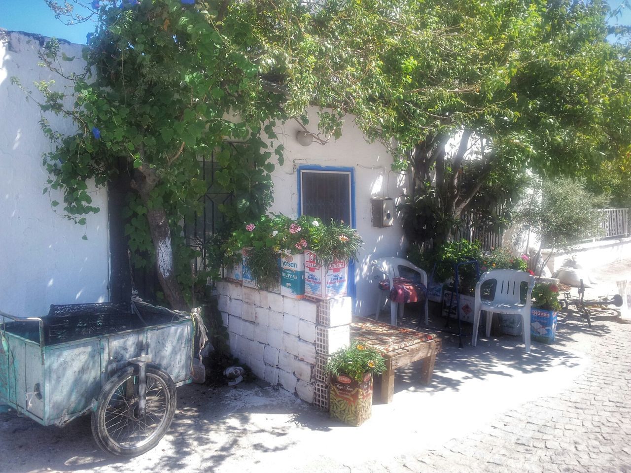 building exterior, architecture, built structure, tree, house, residential building, window, potted plant, residential structure, growth, plant, land vehicle, mode of transport, transportation, street, day, building, car, outdoors, parked