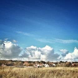 Scenic view of landscape against blue sky