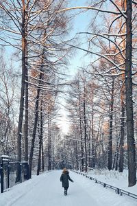 Rear view of man walking on snow covered landscape