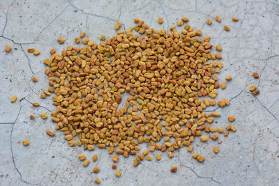 High angle view of dried plant