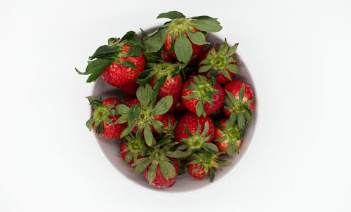 Directly above shot of strawberries in bowl on white background