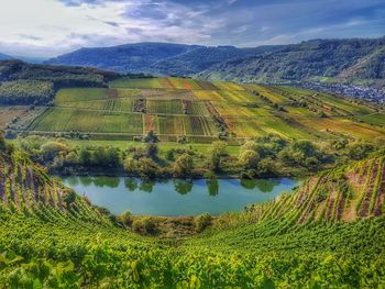 Scenic view of agricultural field against sky