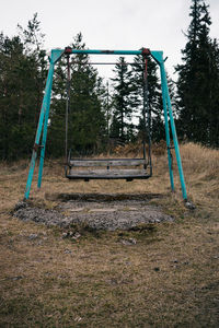 Trees in playground