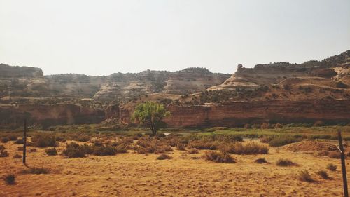 Scenic view of landscape against clear sky