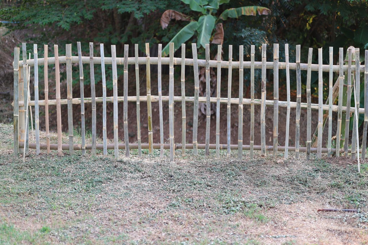 FENCE ON FIELD IN FOREST