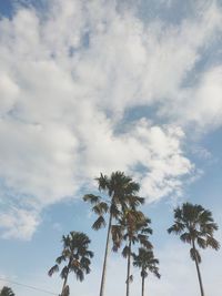 Low angle view of palm tree against sky