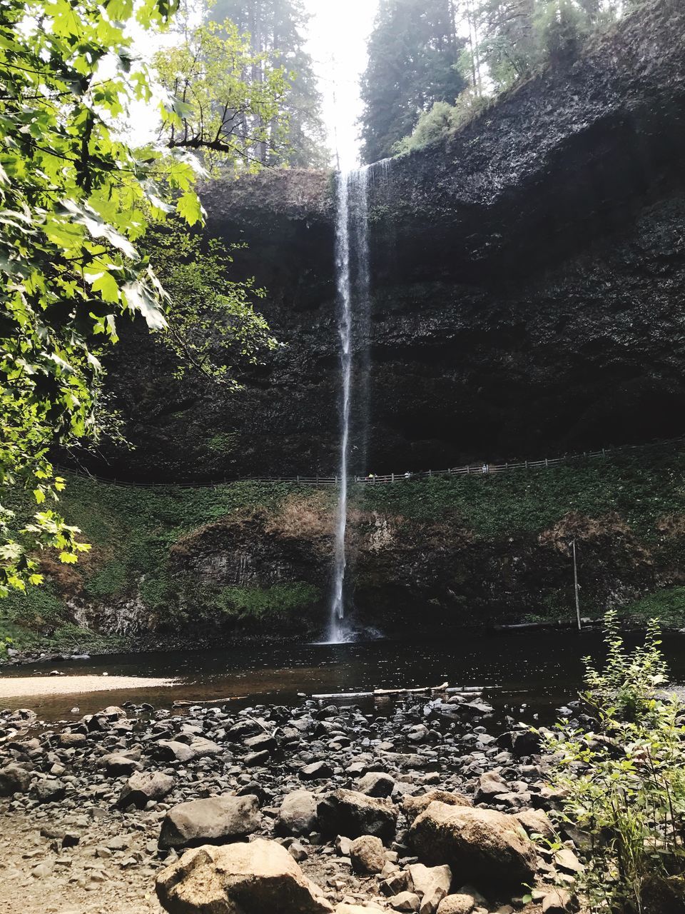 SCENIC VIEW OF WATERFALL