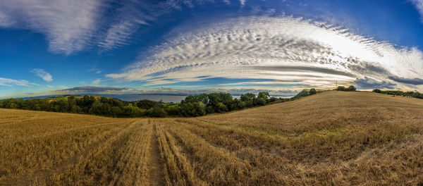 Dirt road passing through field against clear sky