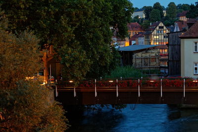 Trees by river in city at dusk