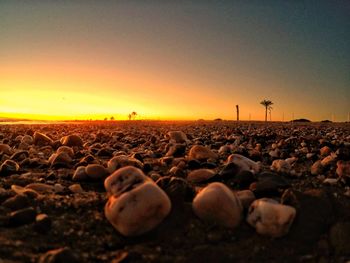 Scenic view of beach against clear sky during sunset