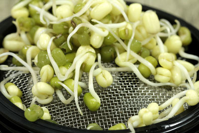 Close-up of vegetables