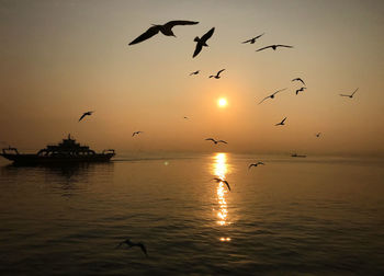 Silhouette birds flying over sea during sunset