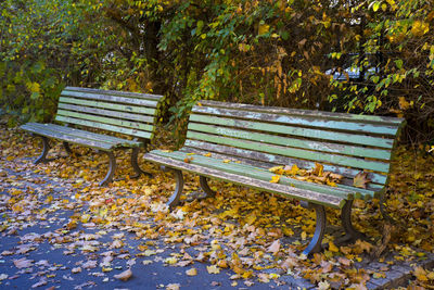 Empty bench in park during autumn