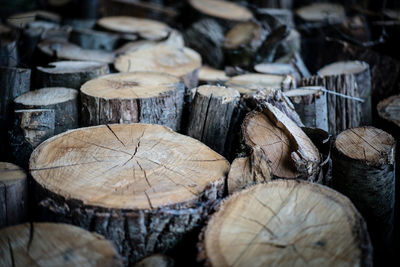 Full frame shot of logs in forest