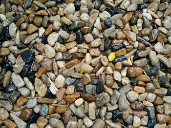 High angle view of stones on pebbles