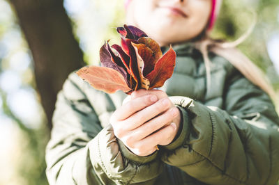 Close-up of hand holding plant