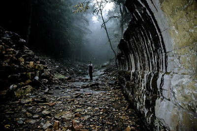 Man standing amidst trees in forest