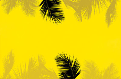 Low angle view of palm tree against yellow sky