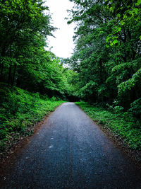 Road amidst trees against clear sky