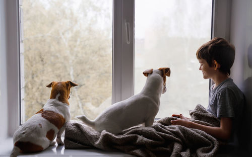 Sad little boy and dogs look out the window during the coronavirus outbreak.