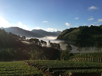 Scenic view of landscape against sky