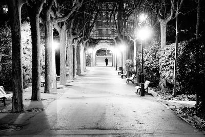 Walkway amidst illuminated trees at night