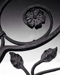 Low angle view of tree against sky