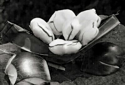Close-up of food on table