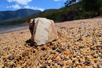 Close-up of stones on rock