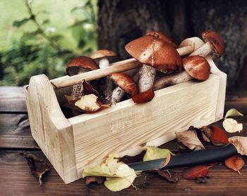 Close-up of mushrooms on wooden table