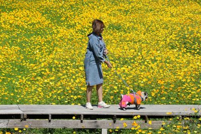 Woman standing on yellow flowering plants