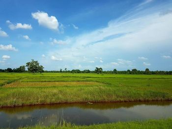 Scenic view of field against cloudy sky