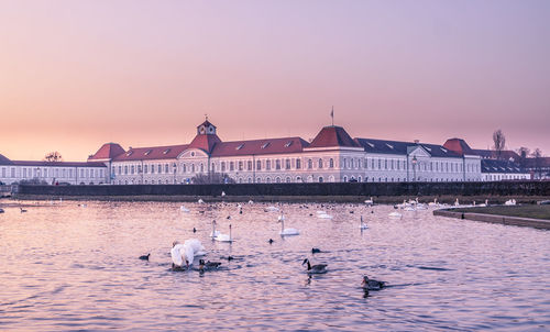 Birds swimming on lake in city during sunset