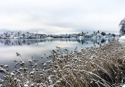 Scenic view of frozen lake against sky